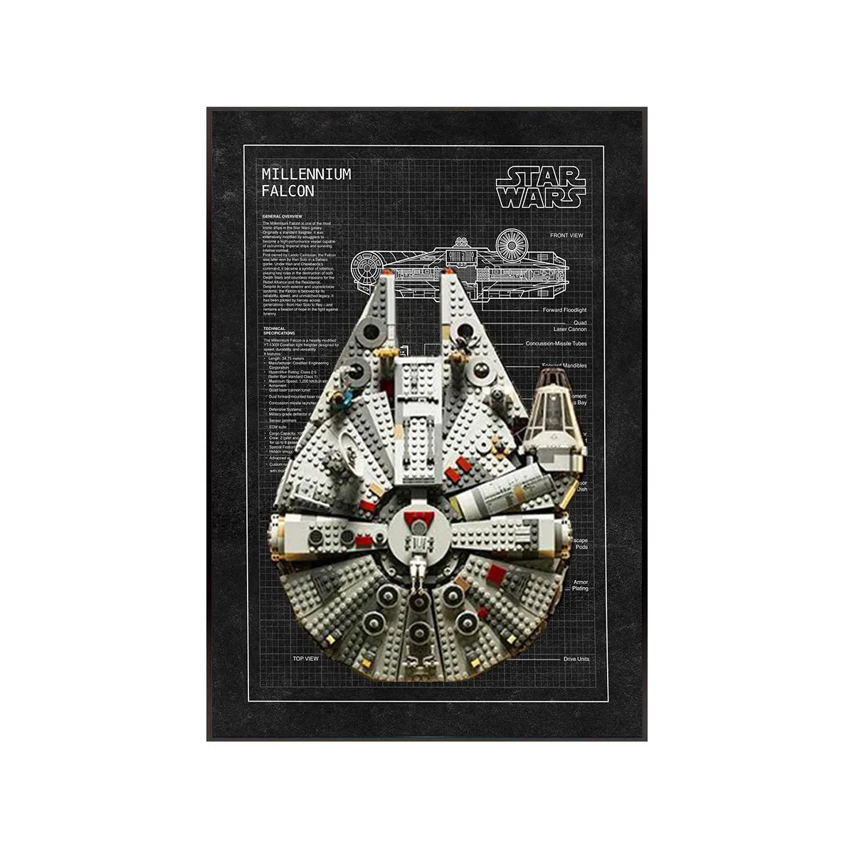 LEGO® Star Wars Millennium Falcon Wall Display Frame 75257 Style C