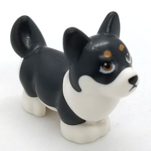 Animal, Dog, Corgi with Partially Black Fur print Weiß