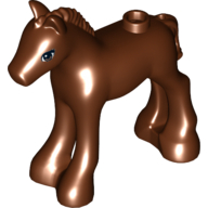 Animal, Horse / Foal, with Brown Eyes and Black Eyelashes Print Reddish Brown