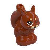 Animal, Squirrel with Brown Eyes, Winking Print