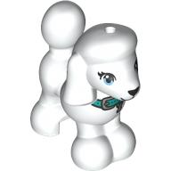 Animal, Dog, Poodle with Dark Turquoise Belt Print