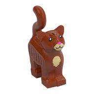 Animal, Cat, Standing New Style with Dark Tan Chest and Muzzle, Brown Stripes, and Dark Pink Nose Print Dunkelorange