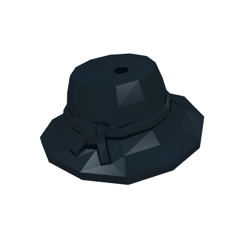 Hat Wide Brimmed in 