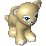 Animal, Big Cat Cub, Lion with Blue Eyes and Dark Pink Nose Print Tan