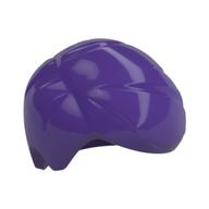 Hair Short Smooth and Right Parting [Plain] Dark Purple