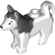 Animal, Dog, Husky with Black Eyes, Black Nose Print and Marbled Dark Bluish Gray Ears and Back Pattern White