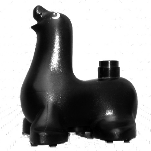 Duplo Animal Seal with Eyes Print Black