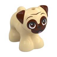 Animal, Dog, Pug with Reddish Brown Face, Open Mouth print Beige
