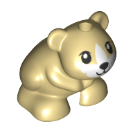 Animal, Hamster, Black Eyes, Whiskers, Black Nose, White Face Tan