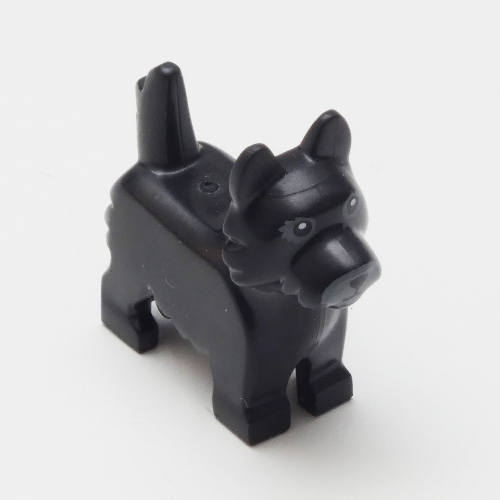 Animal, Dog, Terrier with Black Eyes and Nose on Gray Background Schwarz