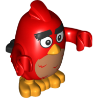 Animal, Bird, Red, Worried Red