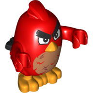 Animal, Bird, Red, Dirty Red