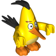 Animal, Bird, Chuck Gelb