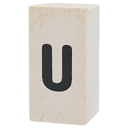 Tile Special 1 × 2 × 5/6 with Stud Hole in End with 'u' print Weiß