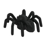 Insect, Spider with Elongated Tail Section in Schwarz