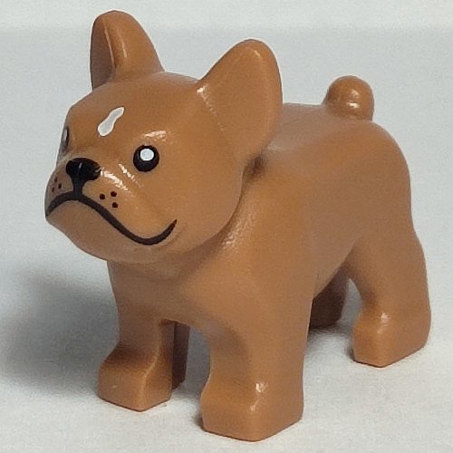 Animal, Dog, French Bulldog, Grumpy Face with Black Nose and Mouth, White Spot on Forehead Print Medium Nougat