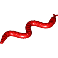 Animal, Snake, Small Rot