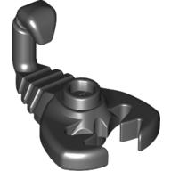 Animal, Scorpion Schwarz