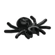 Insect, Spider