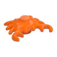 Animal, Crab Orange