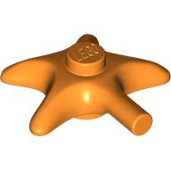 Animal, Starfish Orange
