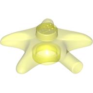 Animal, Starfish Trans-Neon Green