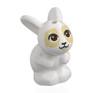 Animal, Rabbit / Bunny Sitting with Dark Brown Eyes, Tan Face print White