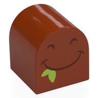 Duplo Brick 2 × 2 × 2 Curved Top with Black Eyes, Smiling Mouth, Lime Leaf print Dunkelorange