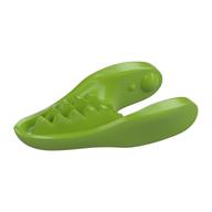 Animal Body Part, Dinosaur, Raptor / Dilophosaurus Lower Jaw [Plain] Lime