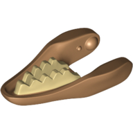 Animal Body Part, Dinosaur, Raptor / Dilophosaurus Lower Jaw with Tan Teeth Print Medium Nougat