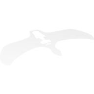 Wings, with White, Gray, and Blue Lightning Print Transparent