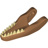Animal Body Part, Dinosaur, Carnotaurus Lower Jaw with Tan Teeth in Medium Nougat