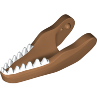 Animal Body Part, Dinosaur, Carnotaurus Lower Jaw with White Teeth Mittelnougat