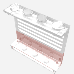 Panel 1 × 4 × 3 - Solid Studs with Red Stripe and White Stripes Print Trans-Clear