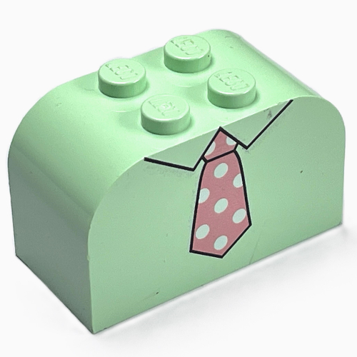 Brick Curved 2 × 4 × 2 Double with Necktie Pink Print Light Green