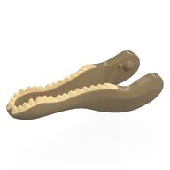 Tier-Körperteil, Dinosaurier, Baryonyx Unterkiefer mit hellbraunen Zähnen in Dunkelbeige