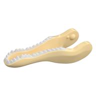 Animal Body Part, Dinosaur, Baryonyx Lower Jaw with White Teeth Beige