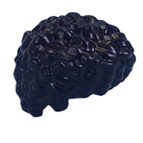 Hair Short Curly, Flattened Black