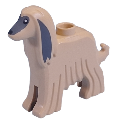Animal, Dog Afghan Hound with Dark Bluish Grey Noes, Ears print Beige