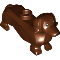 Animal, Dog, Dachshund, Black Eyes Nose and Print Reddish Brown