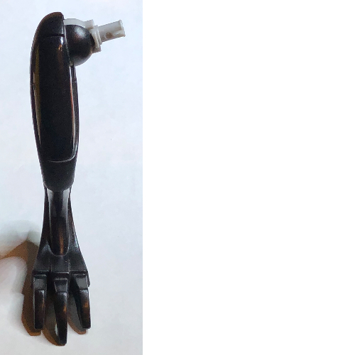 Animal Body Part, Dinosaur, Raptor Leg, Right Black