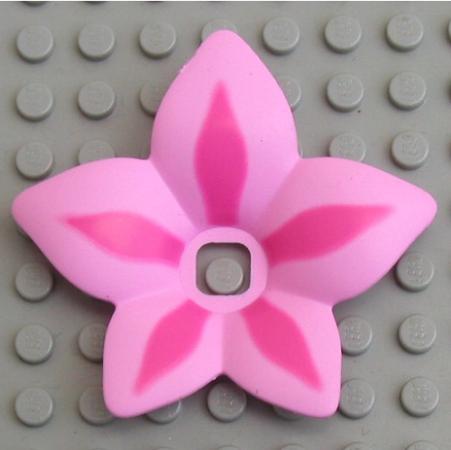 Clikits Icon Accent, Flower 6 × 6 × 2/3 with Dark Pink Petals Print Leuchtendes Hellorange