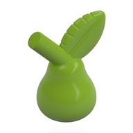 Plant, Pear in Lime