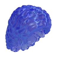 Hair Long Curly, Internal Supports Opal Trans-Purple