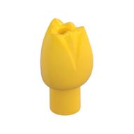 Plant, Flower, Tulip Gelb