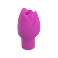 Plant, Flower, Tulip Dark Pink