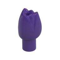 Plant, Flower, Tulip Dark Purple