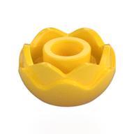 Plant, Flower, Peony Rose with 2 Layers Gelb