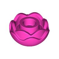 Plant, Flower, Peony Rose with 2 Layers Dark Pink