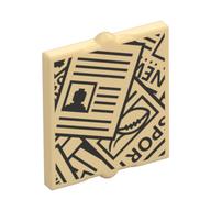 Glass for Window 1 × 2 × 2 Flat with Newspapers Print
